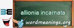WordMeaning blackboard for allionia incarnata